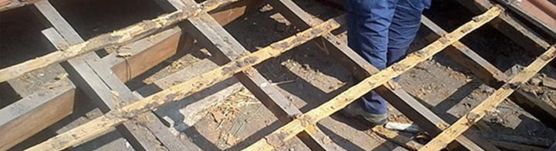 Descupinização em Forro em São Bernardo do campo 24 HORAS